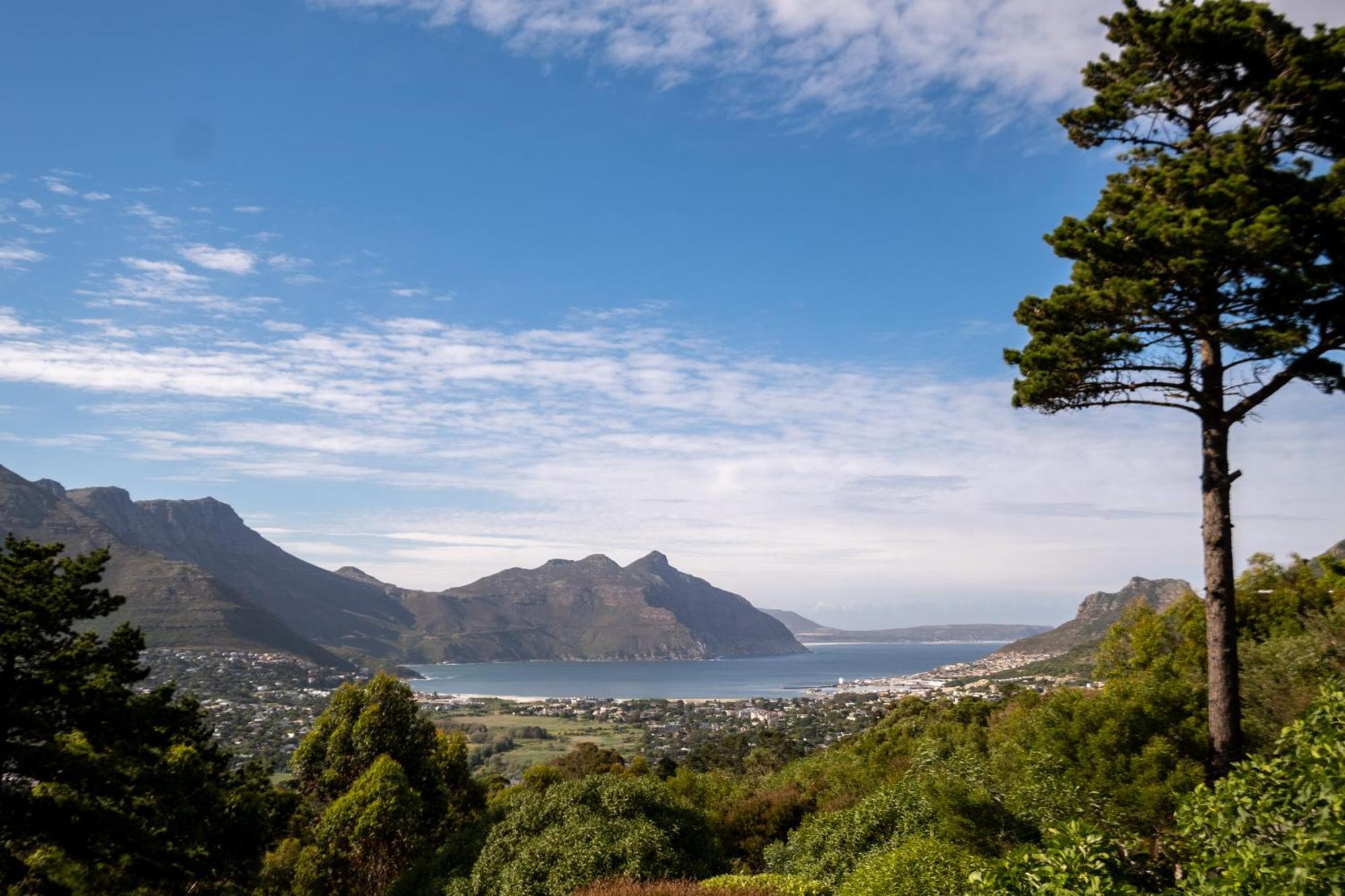Dreamhouse Guest House Hout Bay Bagian luar foto